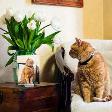 Acrylic Place Card Holders 1.2 Inch Name Card Holder Stands Clear Table Number Stands Wedding Sign Holders Card Display Stand for Table Wedding Photos Office Menu Meeting (100 Pieces)