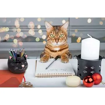 Luvberries Cat Glasses Holder and Decor Organizer