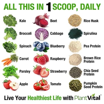 Plantvital Organic Vegan Protein Powder with Greens