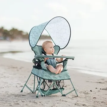 Baby Delight Venture Chair | Portable & Safe Toddler Seating