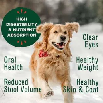 Primal Freeze Dried Raw Dog Food Nuggets, Healthy Beef Meal