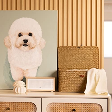 Natural Seagrass Storage Baskets - Elegant Organization Solutions