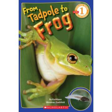 Explore Frog Lifecycle with From Tadpole to Frog