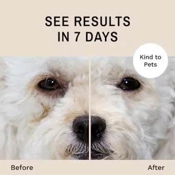 Eye Envy Dog Tear Stain Remover Starter Kit. 100% Natural, Safe. Contains: Stain Solution, Applicator Pads, and Stain Powder. Tear Stain Treatment Kit. Lasts 30-45 Days. Made in USA