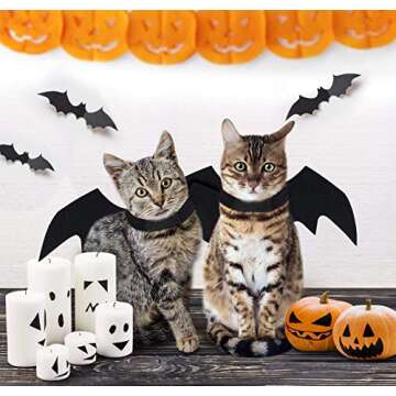 Tealots Adjustable Bat Wings Pet Costume for Halloween