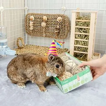 andwe Small Animals Play Balls Rolling Chew Toys & Gnawing Treats for Rabbits Guinea Pigs Chinchilla Bunny Degus - Pet Cage Entertainment Accessories