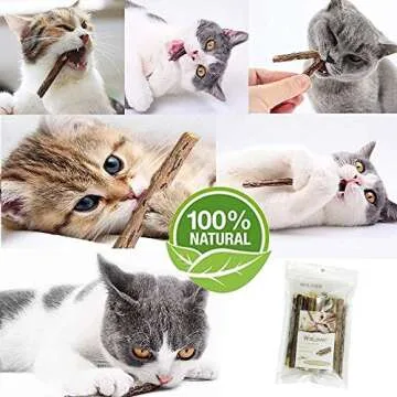 WoLover Silvervine Sticks for Cats, Natural Catnip Matatabi Chew Sticks Teeth Molar Chew Toys for Cat Kitten Kitty (25 PCS)