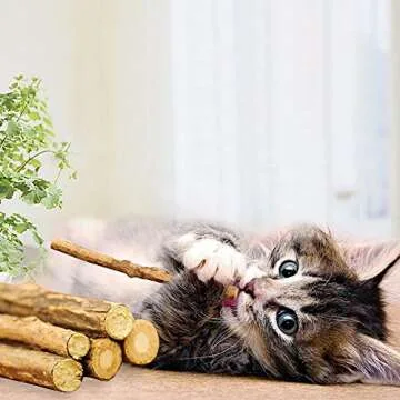 WoLover Silvervine Sticks for Cats, Natural Catnip Matatabi Chew Sticks Teeth Molar Chew Toys for Cat Kitten Kitty (25 PCS)