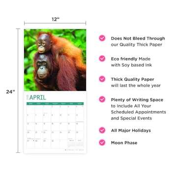 Baby Animals Calendar 2025 Cute Wall Gift for All Ages