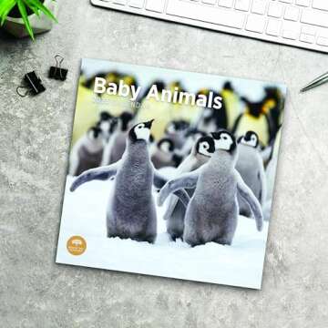 Baby Animals Calendar 2025 Cute Wall Gift for All Ages