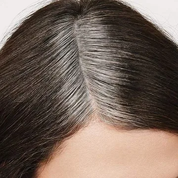 Everpro Gray Away Root Concealer for Effortless Gray Coverage