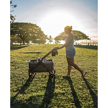 Baby Trend Expedition 2-in-1 Stroller Wagon PLUS Ultra Grey