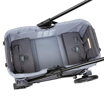 Baby Trend Expedition 2-in-1 Stroller Wagon PLUS Ultra Grey