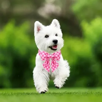 Stylish Adjustable Pink Plaid Bowtie Dog Collar for Dogs
