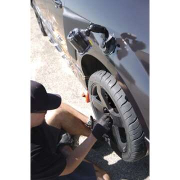 Sony's Proforma PFVCTSC1 Suction Cup Mount for SONY Action Cam, (Black)