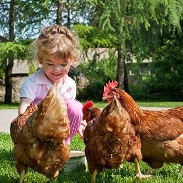 BestPet Large Metal Chicken Coop, Chicken Run Outdoor Walk-in Poultry Cage Duck Coop Chicken Pen Pet...