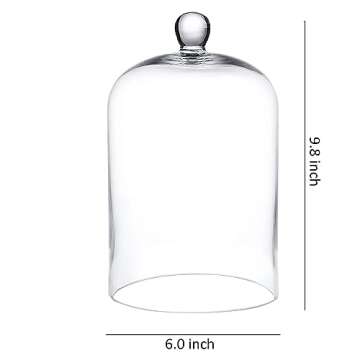 WHOLE HOUSEWARES | Cloche Glass Dome | Clear Glass Bell Jar | DIY Snow Globes | Decorative Cloche Jar | Glass Cloche to Cover Plants and Decorations | Cloche Jar for Home Décor (6"x10")