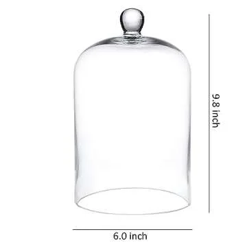 Classic Glass Dome Cloche Decorative Home Accent