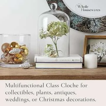 Classic Glass Dome Cloche Decorative Home Accent