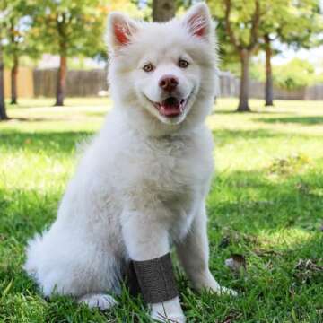 Juvale 12 Rolls Adhesive Bandage Wrap - 2 in x 5 Yds Cohesive Vet Wrap - Breathable Elastic Tape for Wrist, Sports, Tattoo, Swelling, and Injury - Black Athletic Tape