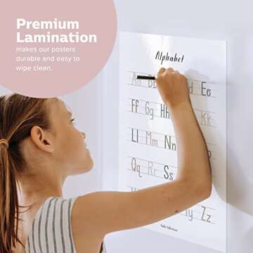 Calla Collections' Laminated Pre-K Educational Posters - Colorful Wall Stickers for Toddlers, Perfect for Kids’ Room & Classroom Decor, 12Pcs in 1