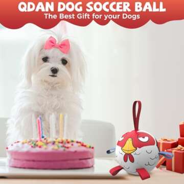QDAN Chicken Dog Ball Toy - Durable Interactive Soccer Ball for Small Dogs - Perfect for Outdoor Fun...