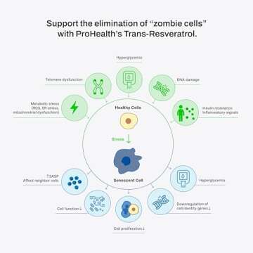 ProHealth Resveratrol 1000mg | Pure Trans-Resveratrol | Plus Quercetin, Red Wine & Green Tea Extract | Clinically Studied to Support Cellular Health, Memory, Healthy Aging | 60 Capsules