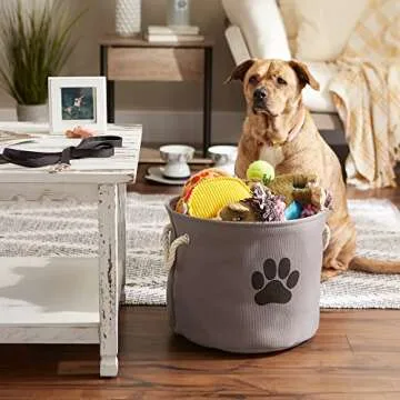 Bone Dry Collapsible Pet Storage Bin in Gray for Easy Organization