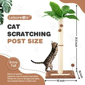 Leisuremix Cat Scratching Post 31.5" Tall Sisal Scratch Posts for Indoor Adult Cats, Large Palm Tree Cat Post with Dangling Balls, Cute Cat Scratching Post an Interactive Scratcher Cat Toy
