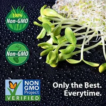 Organic Broccoli Sprout Growing Kit with Stainless Steel Lid