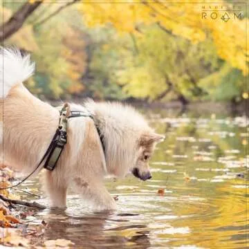 MADE TO ROAM Premium Explorer Harness for All Dogs