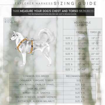 MADE TO ROAM Premium Explorer Harness - Y-Shaped Dog Harness with Adjustable Durable Nylon, Soft Padding, Metal Buckles and Leather Handle for Small, Medium, Large Dogs (Washington Rain, Size 4)