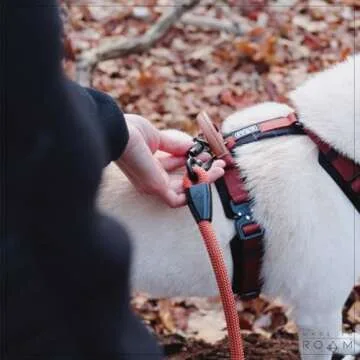 MADE TO ROAM Premium Explorer Harness for All Dogs