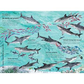 The Big Book of the Blue (The Big Book Series)