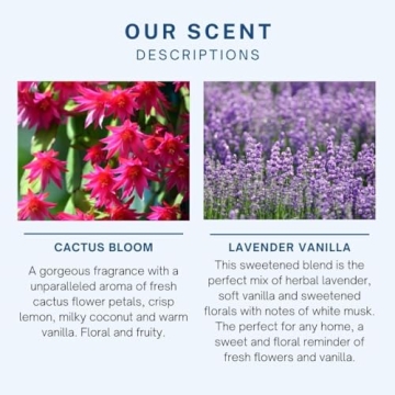 CE Craft Floral Car Air Freshener Diffuser 4 Pack