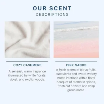 CE Craft Floral Car Air Freshener Diffuser 4 Pack