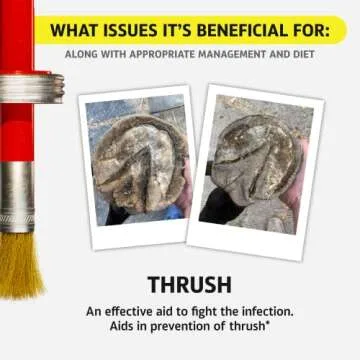 Equine One Natural Hoof Dressing - All-Natural Care for Hooves