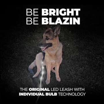 Blazin Light Up Dog Leash LED Dog Leash - 1,000 Feet of Visibility - USB Rechargeable Waterproof Glow in The Dark Dog Leash - 4 Foot, Orange