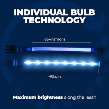 Blazin Light Up Dog Leash LED Dog Leash - 1,000 Feet of Visibility - USB Rechargeable Waterproof Glow in The Dark Dog Leash - 4 Foot, Orange