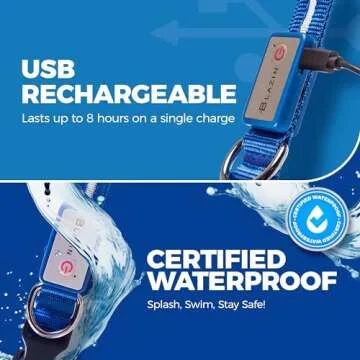 BLAZIN Light Up Dog Leash - 1,000 Feet Visibility Safety