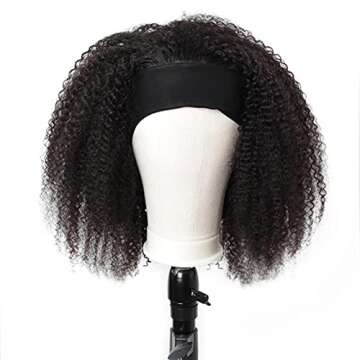ISEE Hair Afro Kinky Curly Wigs for Black Women 16 Inch