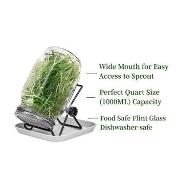 Lulonpon 4 Sprouting Jar Kit - Organic Seed Sprouter Set for Your Kitchen