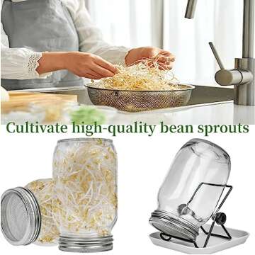 Lulonpon 4 Sprouting Kit - Grow Healthy Seeds at Home