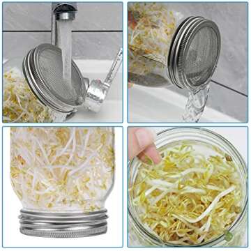 Lulonpon 4 Sprouting Kit - Grow Healthy Seeds at Home