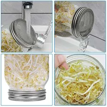 Lulonpon 4 Sprouting Kit - Grow Healthy Seeds at Home