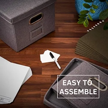 Stylish ZICOTO File Organizer Box Set of 2 for Elegant Storage