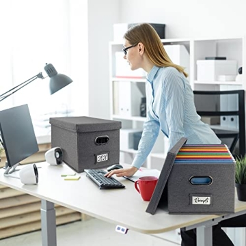 Stylish ZICOTO File Organizer Box Set of 2 for Elegant Storage