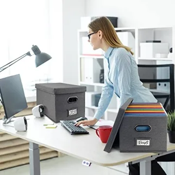 Stylish ZICOTO File Organizer Box Set of 2 for Elegant Storage