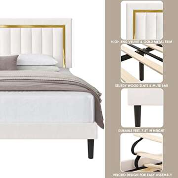 HITHOS Queen Velvet Bed Frame with Adjustable Headboard