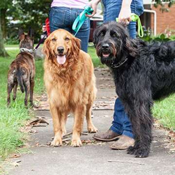 Herm Sprenger Chrome Prong Collar for Effective Dog Training